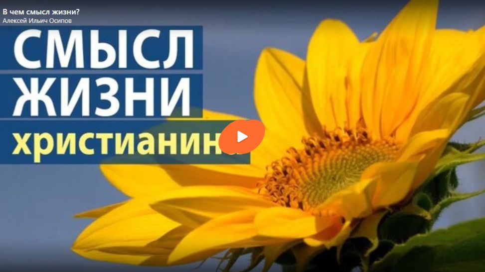 В чём смысл жизни смотреть онлайн