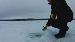ЛОВЛЯ СУДАКА В ГЛУХОЗИМЬЕ. РЫБАЛКА НА ВОЛГЕ.
