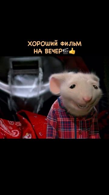 🍿Старт Литтл