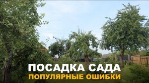 ОШИБКИ КОТОРЫЕ СОВЕРШАЮТ МНОГИЕ. Самые распространенные ошибки при посадке плодового сада.