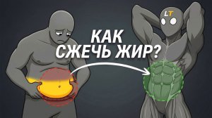 КАК ПОХУДЕТЬ БЫСТРО! Вся Суть за 9 минут