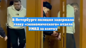В Петербурге полиция задержала главу «экономического» отдела УМВД за взятку