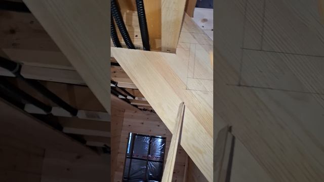 1000047808.mp4 (Собака наблюдает за устройством лестницы на 2 этаж в доме А-фрейм)