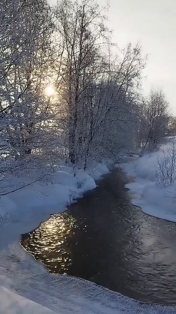 #мудрость #жизнь #shorts