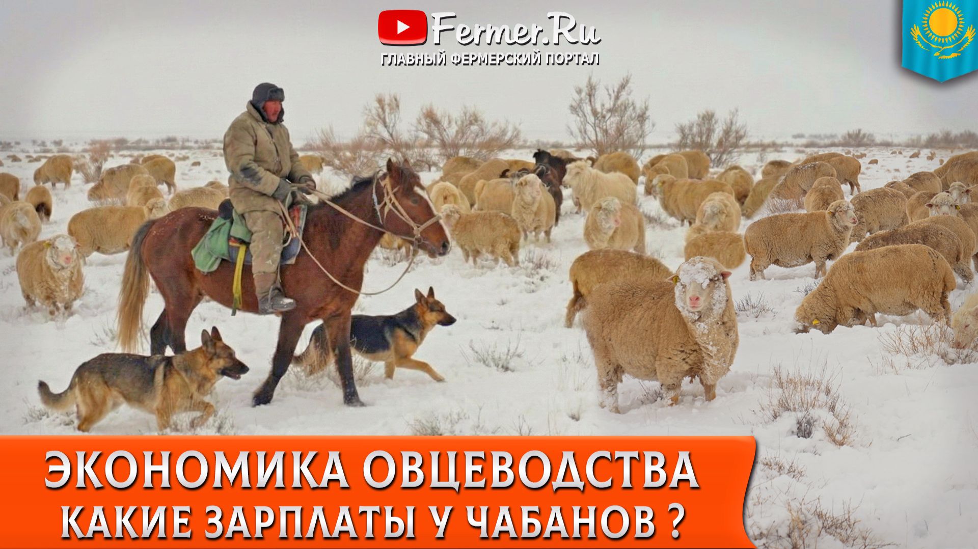 🐏Свыше 200 миллионов за одну овцеводческую точку. Бауржан Оспанов: Экономика и бизнес в овцеводстве смотреть онлайн