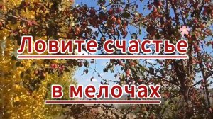 Ловите счастье в мелочах...Прекрасный настрой!