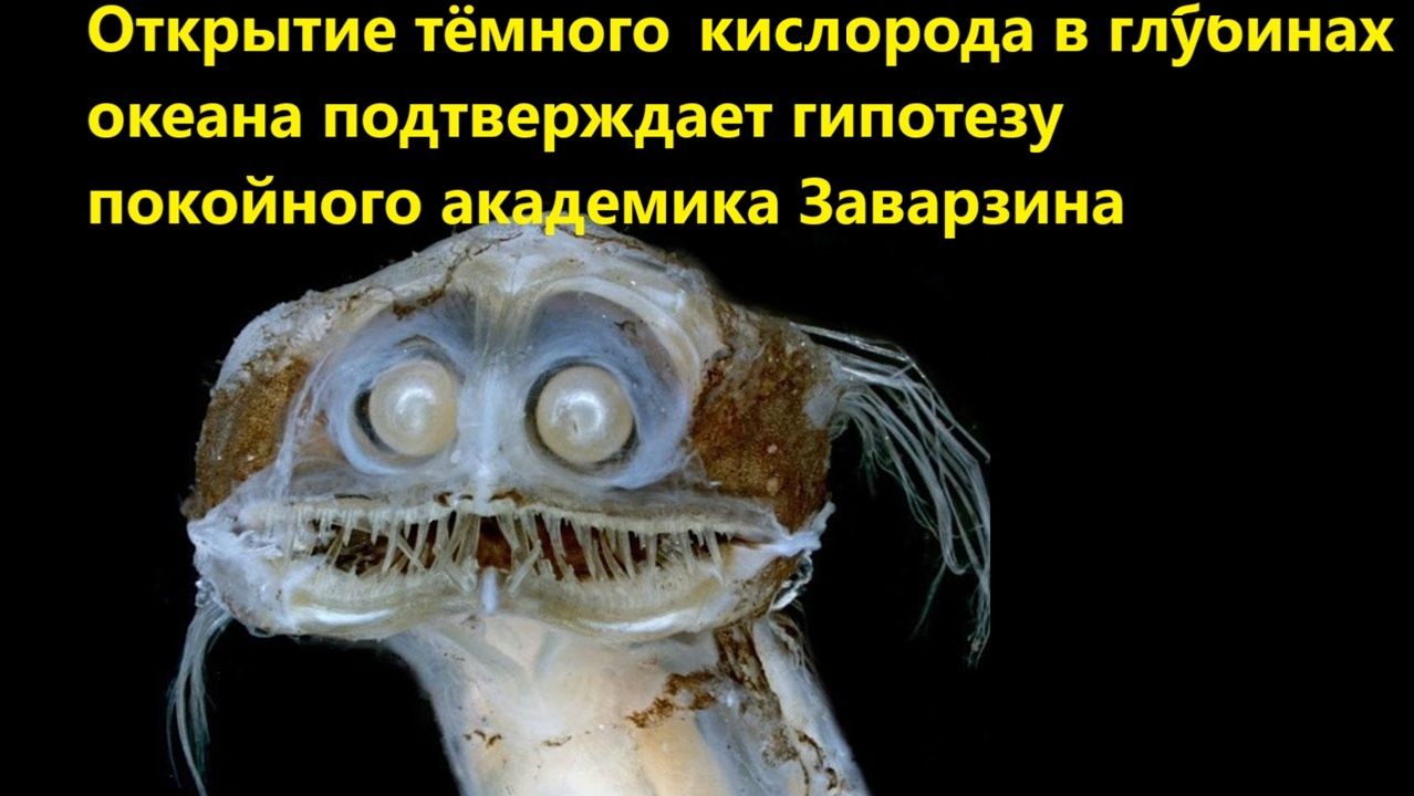 Открытие тёмного кислорода в глубинах океана подтверждает гипотезу покойного академика Заварзина смотреть онлайн