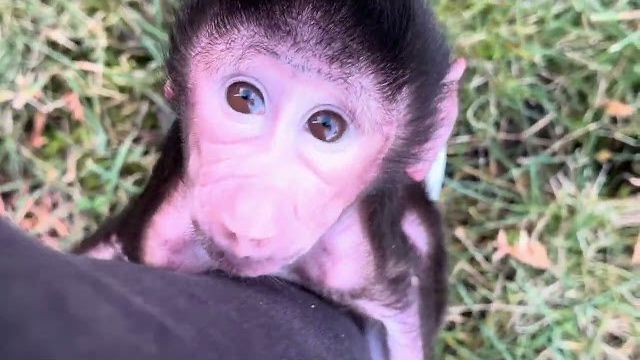 ПЕРВАЯ ПРОГУЛКА Николь на улице удалась на славу😂😂😂 смотреть онлайн