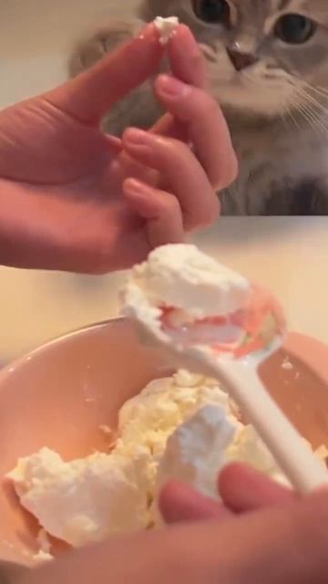 Автор видео: meowmates3