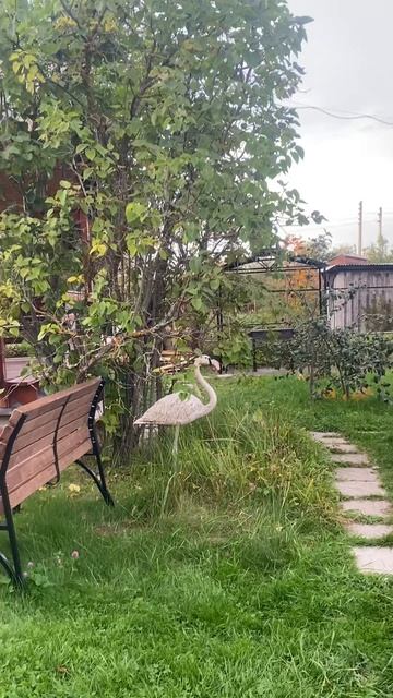 C3F8BBFA-C079-4798-9F5F-4C246C7B5456