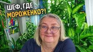 Шеф, где мороженко?! Или как гости путают сервис с базаром