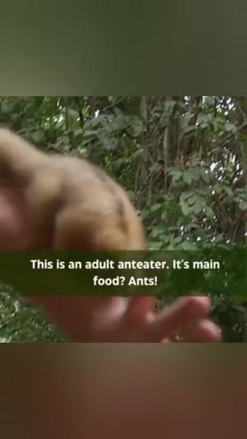 YouCut_20260205_042416668.mp4