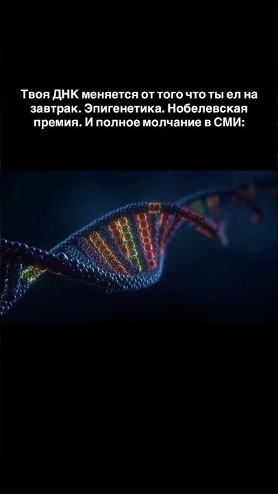 Твоя ДНК меняется от того, что ты ел на завтрак  Эпигенетика- Нобелевская премия. Читай описание✅