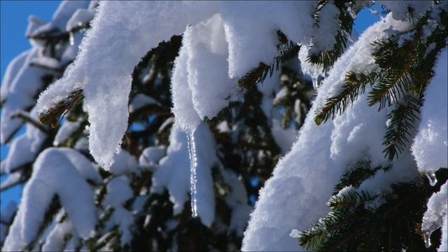 6 Февраля - Избавьтесь от бедности. И откройте путь к изобилию. смотреть онлайн