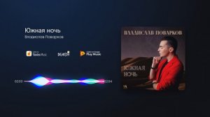 Владислав Поварков - Южная ночь