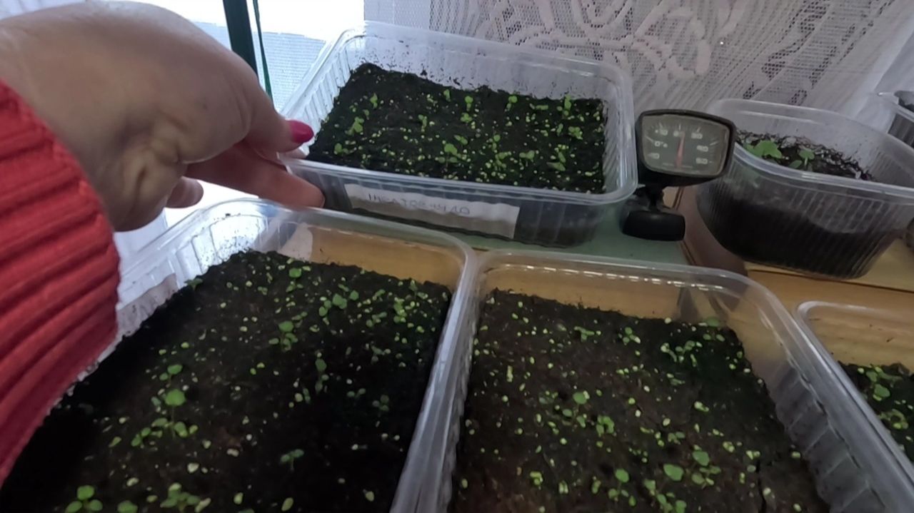 Не выкидывать же.. У него ситуация на много хуже... смотреть онлайн