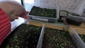 Не выкидывать же.. У него ситуация на много хуже...