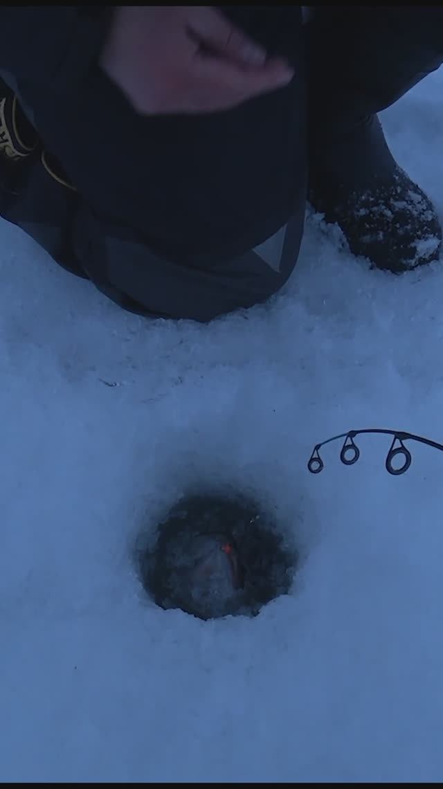 Судак уверенно поднялся, и клюнул! Зимняя рыбалка с эхолотом! #рыбалка #судак #ловлярыбы Судак уверенно поднялся, и клюнул! Зимняя рыбалка с эхолотом! #рыбалка #судак #ловлярыбы