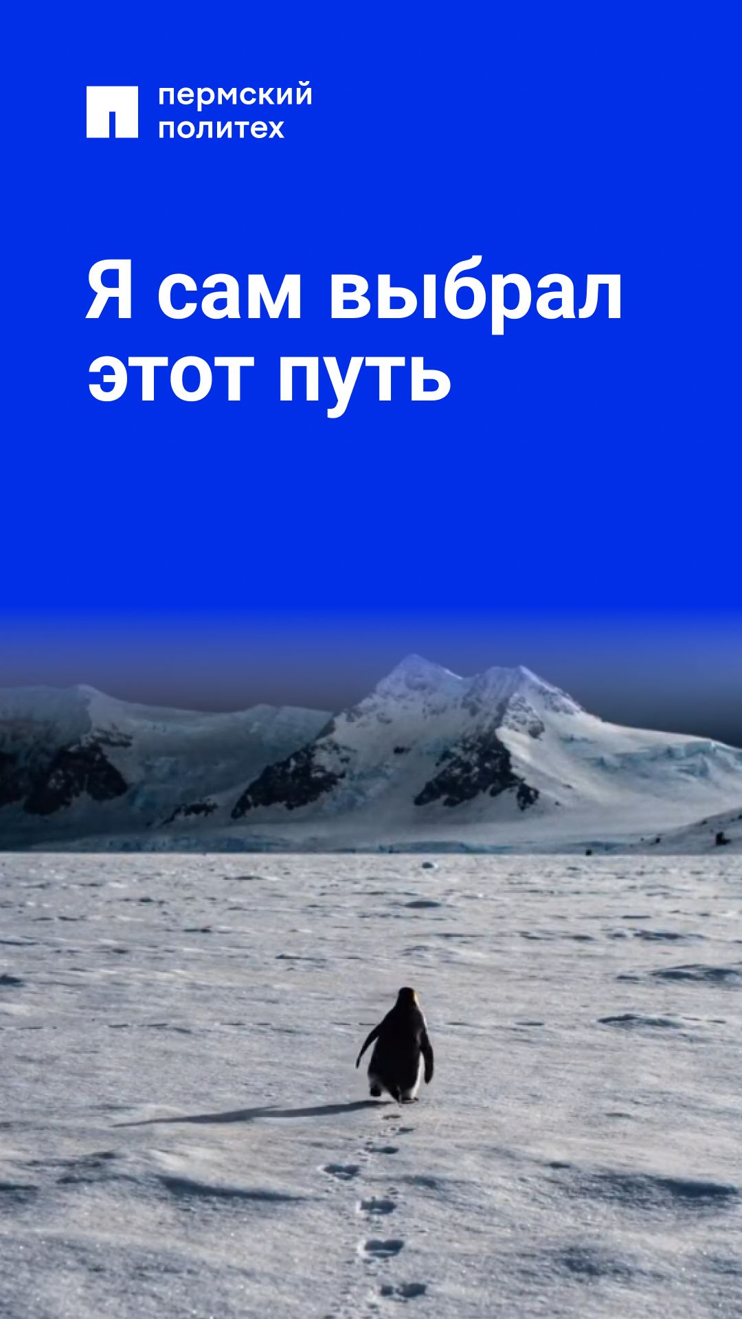 Не каждый сможет пройти столь долгий путь в одиночку смотреть онлайн