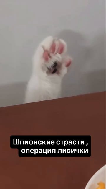 Шпион 100 уровня 🤣 смотреть онлайн