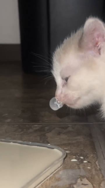 За чьто ты так со мной, молотько😰