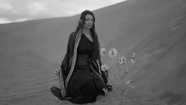 Desert Bloom - Mei-lan Ali Official Video. Mei-lan смотреть онлайн