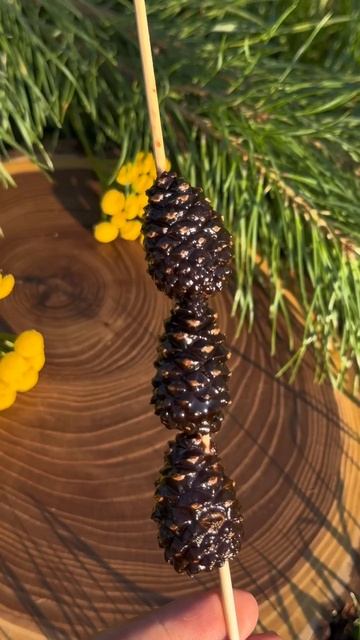 Сосновый шашлычок от фабрики «Таёжный Тайник»