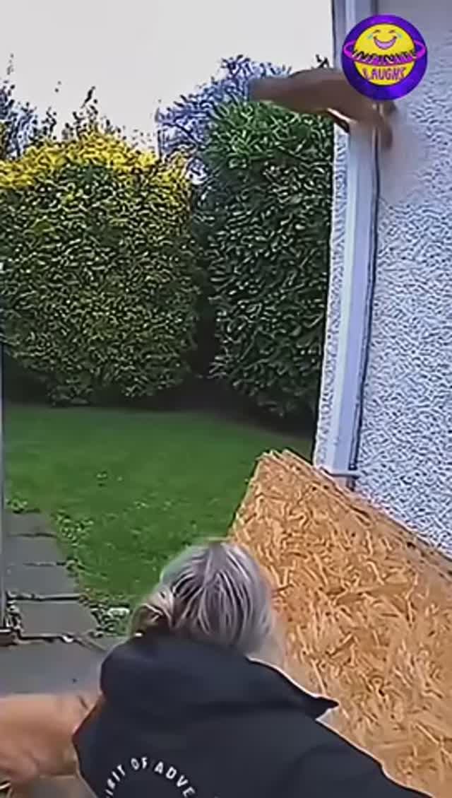 🚨Приколюхи с кошаками😹