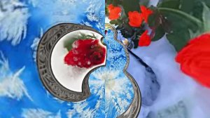 Розы на Снегу в Ледяной Галерее 3 от Киностудии Мудрого Кота Тимофея!