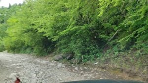 Подъём к Гегскому водопаду 06.05.2024