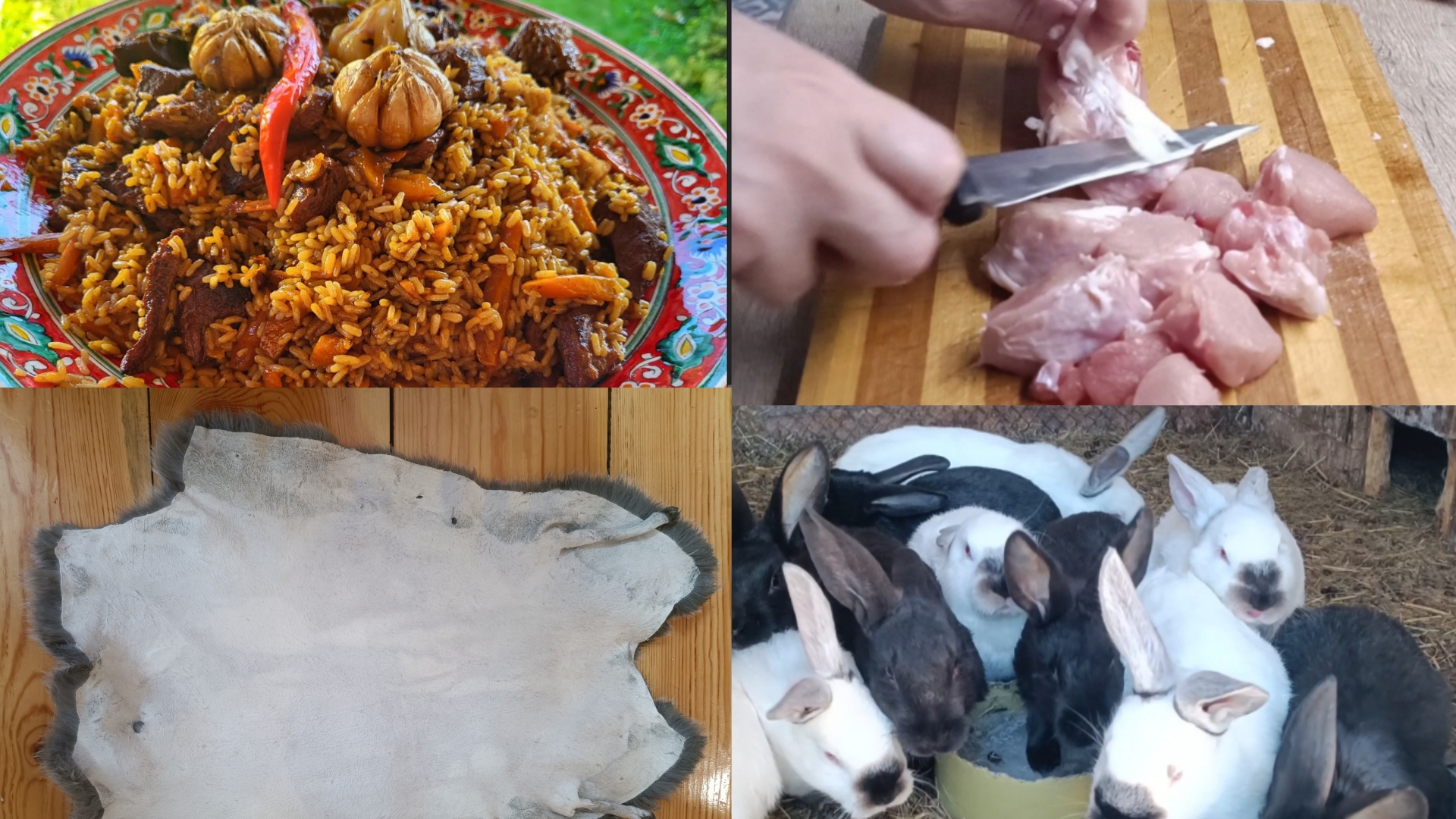 Плов из кролика. Обзор кроличьего хозяйства. Шкуры кролика.