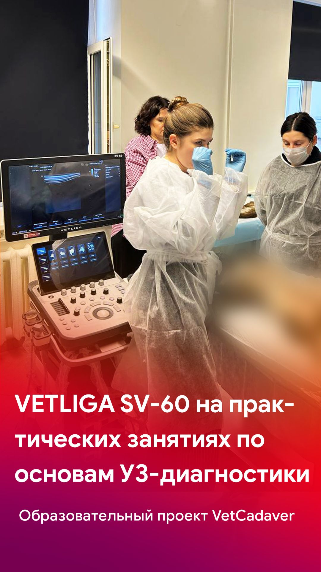 Практика с VETLIGA SV-60: оборудование, которое помогает учиться быстрее смотреть онлайн