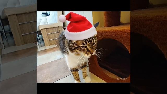 видео ИИ были без звука.. но я их зделал оценивайте в коменты! и подпишитесь☺ смотреть онлайн