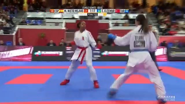 Кумите M. Nieto Mejias (Испания) – E. Eltemur (Турция)