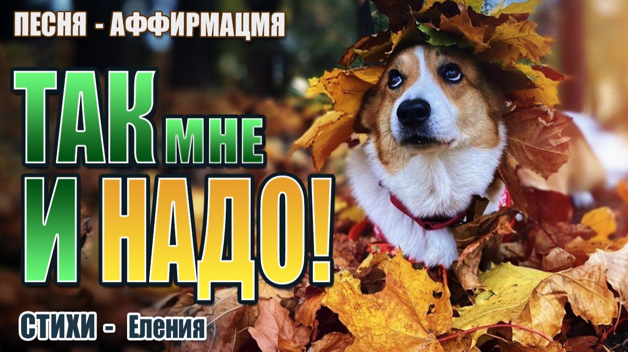 Так мне и надо | Песня-аффирмация на Счастье и Успех | слова Елении | Пой свою реальность смотреть онлайн