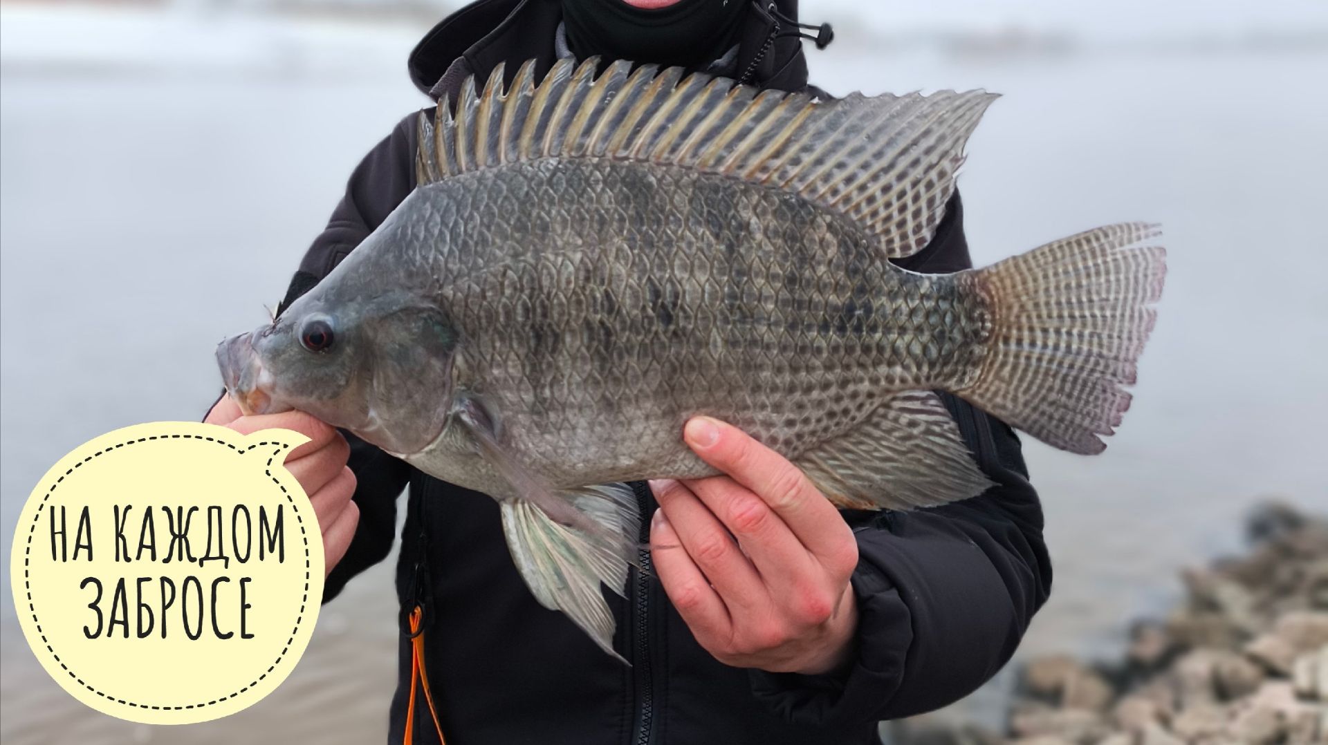 ВСЕ В ШОКЕ С РАЗМЕРА ТИЛЯПИИ. СКОЛЬКО МОЖНО ЛОВИТЬ??? РЫБАЛКА НА СПИННИНГ В УДОМЛЕ. ЧАСТЬ 2. смотреть онлайн