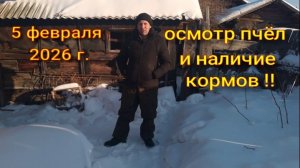 осмотр пчёл и наличие у них корма
