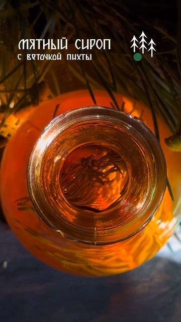 ДНГ Тайги в каждой баночке!