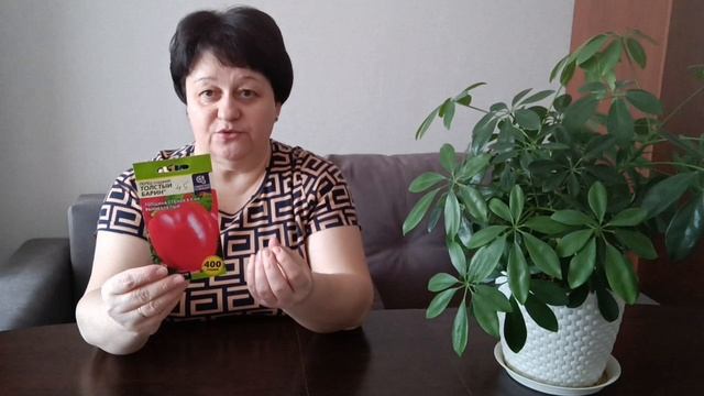 Выбор болгарских перцев и баклажанов на сезон 2026