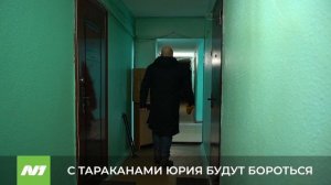 Дом на проспекте Победы, 19А обработают от тараканов. Скоро. Нижневартовск