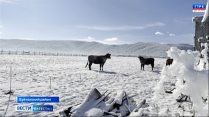 Свыше шести с половиной тысяч социальных контрактов заключено в прошедшем году