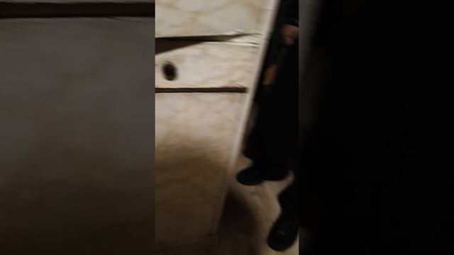 1000005184.mp4 смотреть онлайн