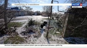 ВЕСТИ КРЫМ: выпуск 05.02.2026 17:30