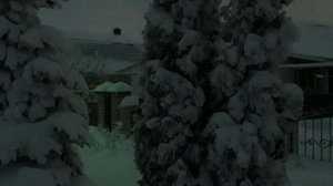 Влог. Вспомнила про видео о покупках, прогулялась в центр.