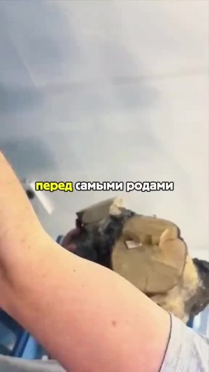 1/2 Часть || #история #реддит