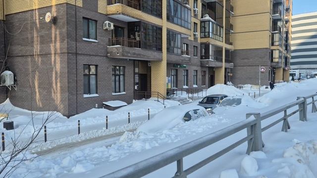 рауса гареева