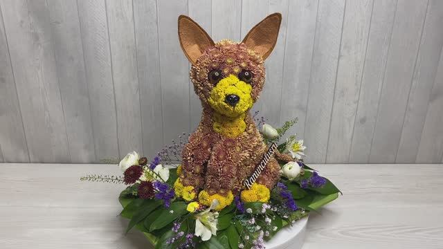 Фигурка собаки породы Чихуахуа из живых цветов смотреть онлайн