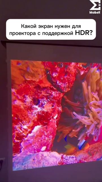 Какой экран нужен для проектора с поддержкой HDR?