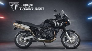 Triumph TIGER 955I - SMTTG720WT1137048 (1)