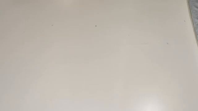 Лот 1949 КУРТКИ ВЕТРОВКИ Германия КРЕМ+ЭКСТРА 990ркг 24,3кг 42ед